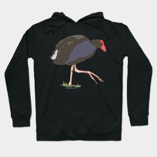 Hand Drawn New Zealand Pukeko Bird Hoodie